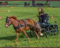1POSIEUX 0234